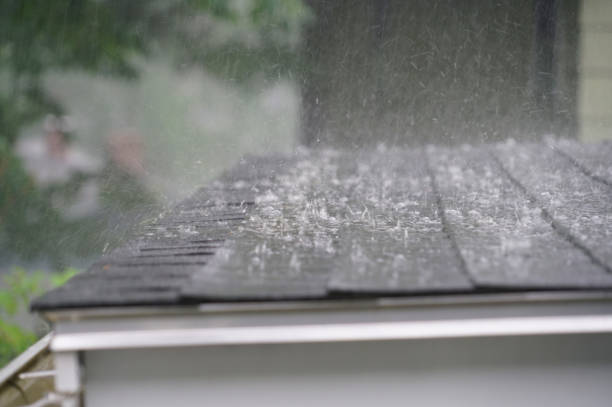 Best Steel Roofing  in Fairmont, NC